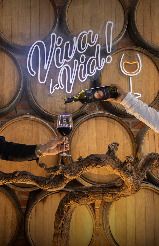 Viva La Vid - Enero 2026