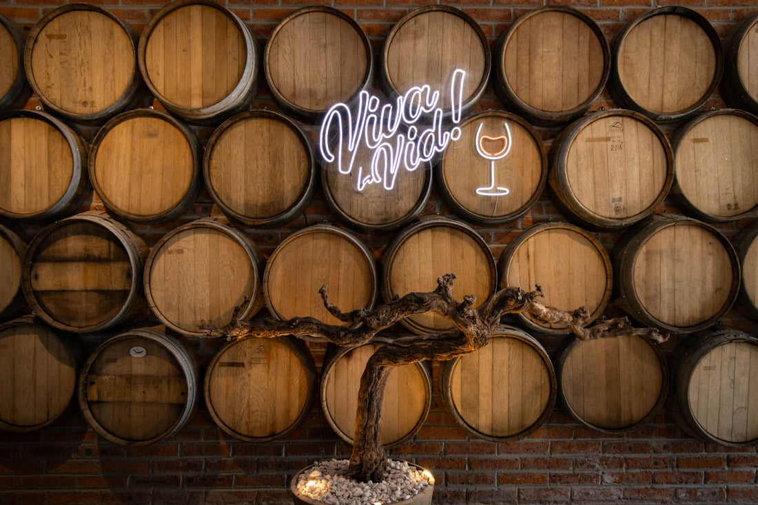 Viva La Vid - Enero 2025