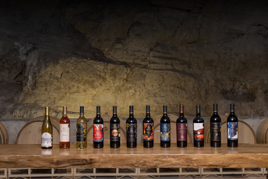 Viva La Vid - Octubre 2025