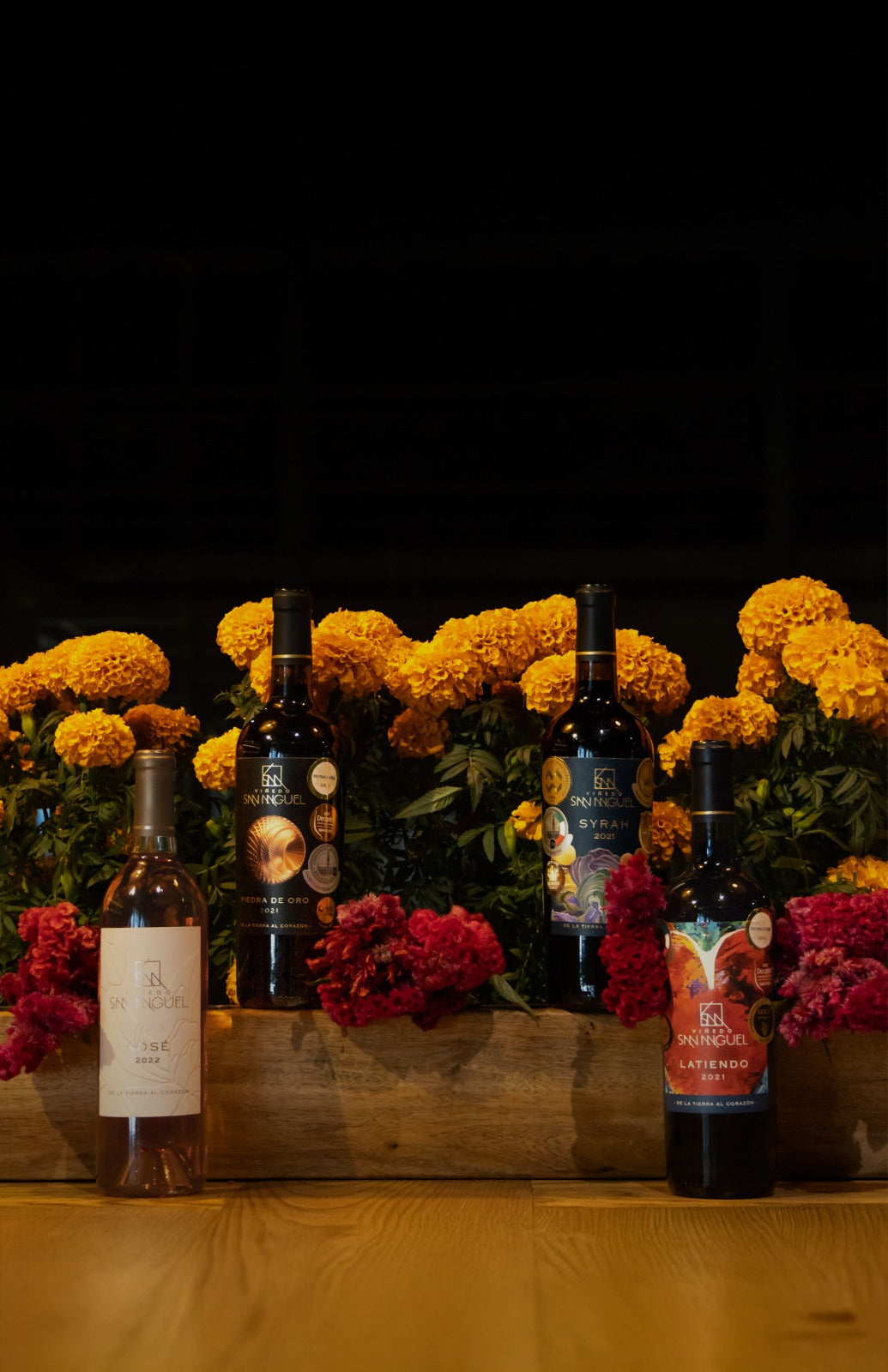 Viva La Vid - Noviembre 2025