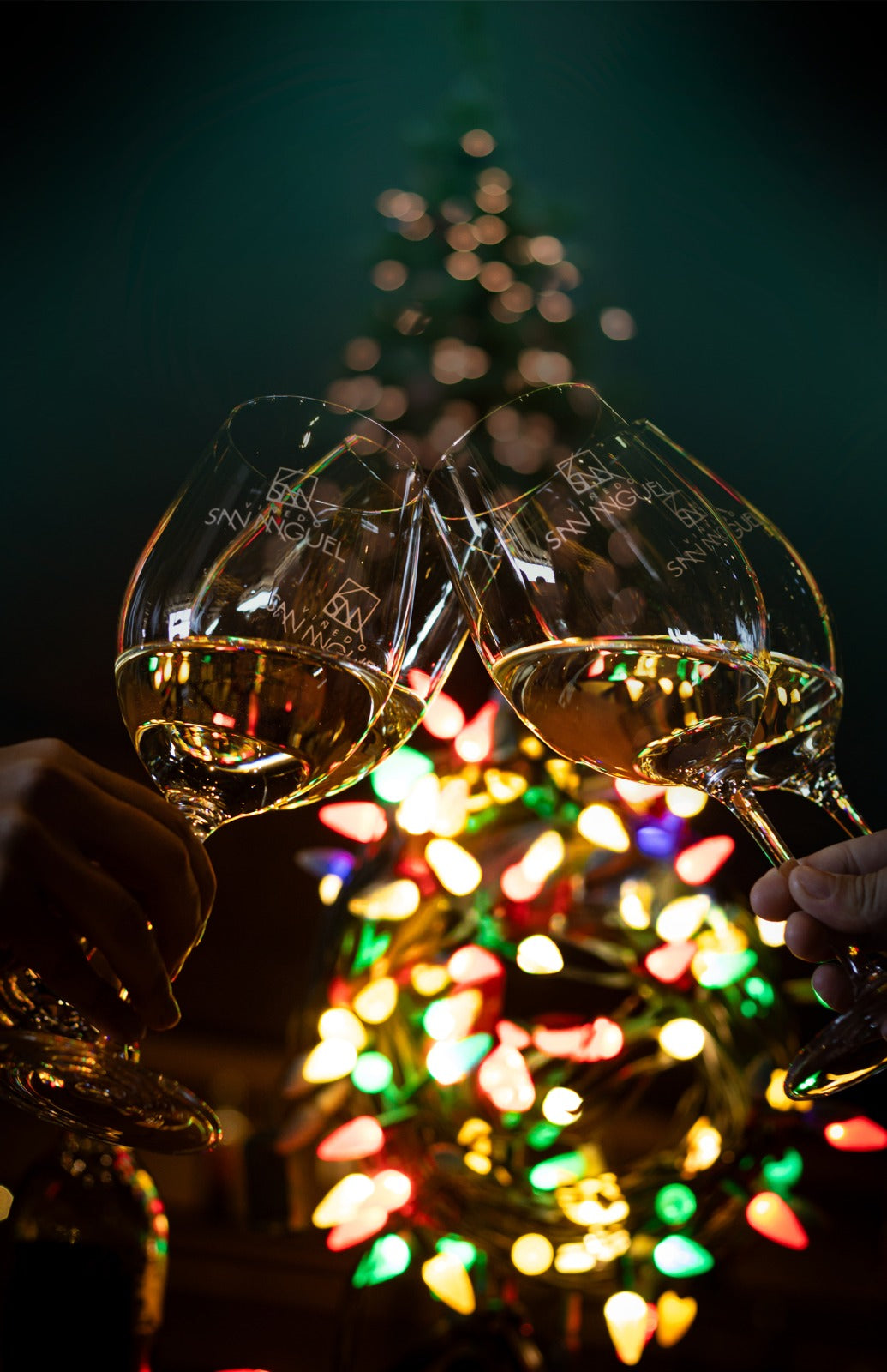 Viva La Vid - Diciembre 2025