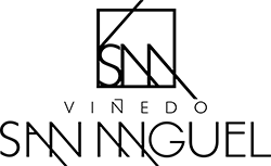 Viñedo San Miguel
