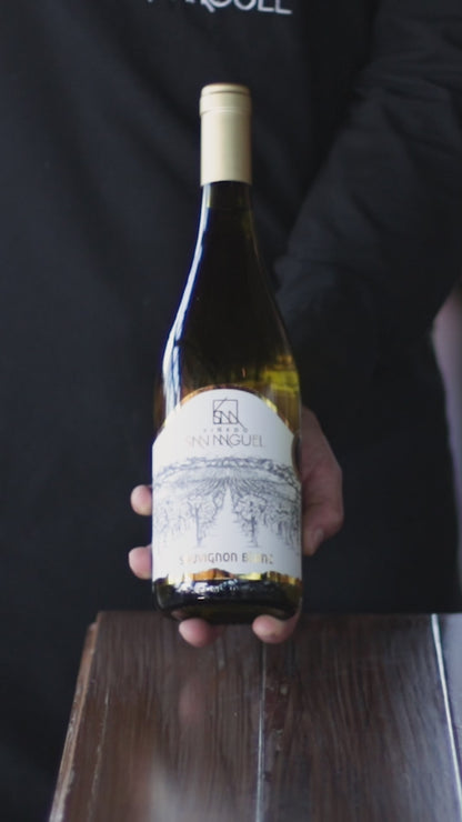 Sauvignon Blanc